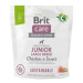 Brit Care Dog Sustainable Junior Large Breed 1kg