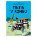 Tintin v Kongu - Hergé - kniha z kategorie Komiksy