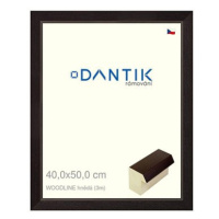 DANTIK rámeček 40 × 50, WOODLINE hnědý sklo čiré