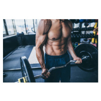 Umělecká fotografie Bodybuilders abdominal muscles, Constantinis, (40 x 26.7 cm)