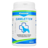 CANINA Enzym Hefe 250 g (310 tablet)