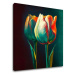 Designová dekorace na plátně Ráno s tulipánem