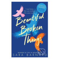 Beautiful Broken Things - Sara Barnard - kniha z kategorie Beletrie pro děti