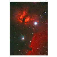 Fotografie Horse-headed Demon Nebula, imagenavi, (30 x 40 cm)