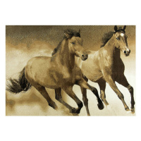 Koberec Nairob- Cválající koně 543221/50955, hnědý