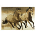 Koberec Nairob- Cválající koně 543221/50955, hnědý