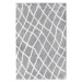 Kusový koberec Nano Shag 625 GY6E 100x150 cm