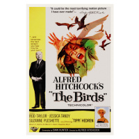 Ilustrace The Birds / Alfred Hitchcock / Tippi Hedren, 26.7 × 40 cm