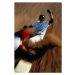 Umělecká fotografie Baseball, player sliding into third base, David Madison, (26.7 x 40 cm)