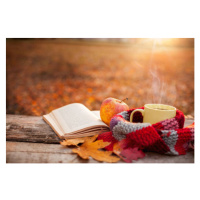 Fotografie Tea mug with warm scarf open book and apple, CherriesJD, 40x26.7 cm