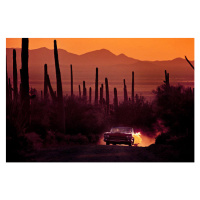 Ilustrace Cowboy Cadillac in Desert by Kevin Cruff, 40 × 26.7 cm