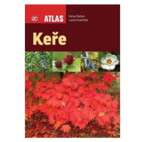 Keře - Atlas