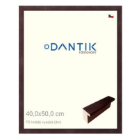 DANTIK rámeček 40 × 50, FC hnědý vysoký plexi čiré