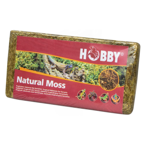 Hobby mech Natural Moss 100 g Hobby Terraristik