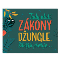 Cedulka na dveře - Zákony džungle Albi