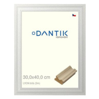 DANTIK rámeček 30 × 40, LYON Bílý plexi čiré