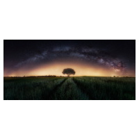 Fotografie Milky way over lonely tree, Ivan Ferrero, (50 x 23 cm)