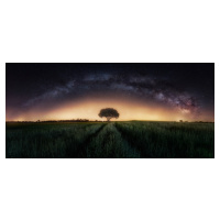 Fotografie Milky way over lonely tree, Ivan Ferrero, 50 × 23 cm