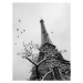 Fotografie Birds flying around snow covered trees, Stephco, (30 x 40 cm)