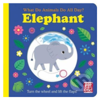 What Do Animals Do All Day: Elephant - Fhiona Galloway (ilustrátor) - kniha z kategorie Beletrie