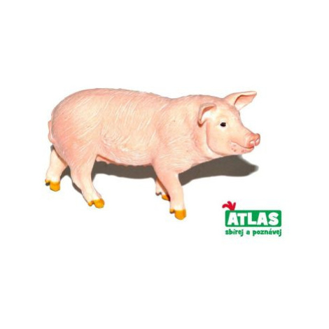 B - Figurka Prase 9 cm ATLAS