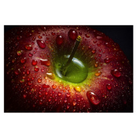 Fotografie Red Apple, Aida Ianeva, 40 × 26.7 cm