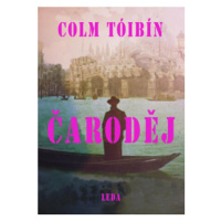 Čaroděj (Defekt) - Colm Tóibín