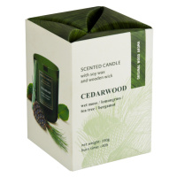 Cedarwood vonná svíčka 150g