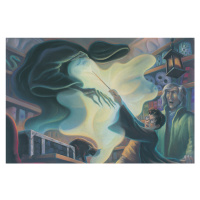 Umělecký tisk Harry Potter - fighting with dementor, 40 × 26.7 cm