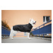 Vsepropejska Tais bunda pro psa na zip s reflexními prvky Barva: Černá, Délka zad (cm): 54, Obvo