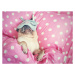 Fotografie Cute pug dog sleep rest with, fongleon356, 40 × 30 cm