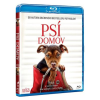 Psí domov - Blu-ray