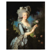 Obrazová reprodukce Marie Antoinette with a Rose, 1783, Vigee-Lebrun, Elisabeth Louise, 30 × 40 