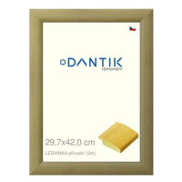 DANTIK rámeček 29,7 × 42, LEDVINKA přírodní plexi čiré