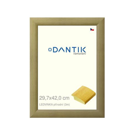 DANTIK rámeček 29,7 × 42, LEDVINKA přírodní plexi čiré