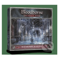 Bloodborne: Katakomby kalicha - Eric M. Lang, Michael Shinall