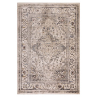 Béžový koberec 240x330 cm Sovereign – Asiatic Carpets