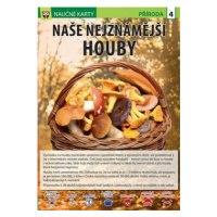 Naše nejznámější houby - Naučné karty