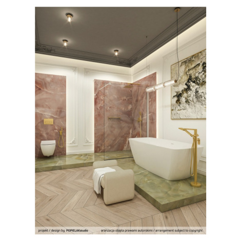 DEANTE Alpinia zlato Bidetová baterie podomítková s bidetovou ruční sprchou BGA_Z34M