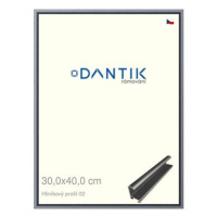 DANTIK rámeček 30 × 40, ALU profil 7002 Platina matný plexi čiré