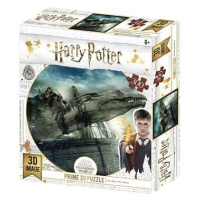 3D Puzzle Harry Potter - Drak, 300 dílků