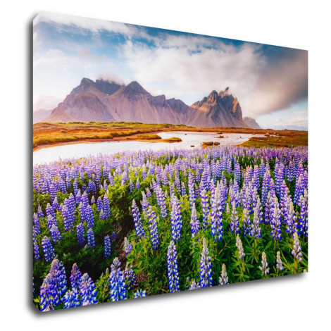 Impresi Obraz Horská krajina s květinami - 70 x 50 cm