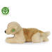 Plyšový pes Zlatý Retriever ležící 39 cm ECO-FRIENDLY