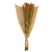 Sušina pšenice barvená terakota 70cm