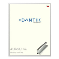 DANTIK rámeček 40 × 50, ALU profil 7269 Stříbrný matný sklo čiré