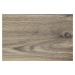 Beauflor PVC podlaha Quintex Gambel Oak 669D  - dub - Rozměr na míru cm