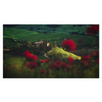 Fotografie Tuscany - Spring Blossoms, Jean Claude Castor, 40 × 22.5 cm