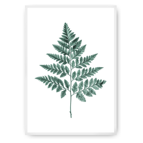 Dekoria Plakát Fern Emerald Green, 40 x 50 cm, Ramka: Biała