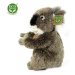 Plyšová koala 22 cm ECO-FRIENDLY