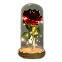Medvídárek Svítící věčná růže ve skle, červená